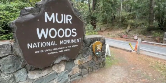 Muir Woods & Sausalito